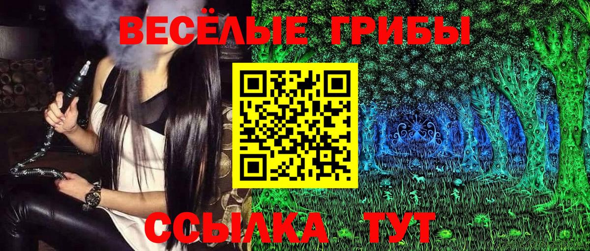 Псилоцибиновые грибы Magic Shrooms  Вход с VPN  Лесозаводск  Галлюциногенные грибы MAGIC MUSHROOMS 
